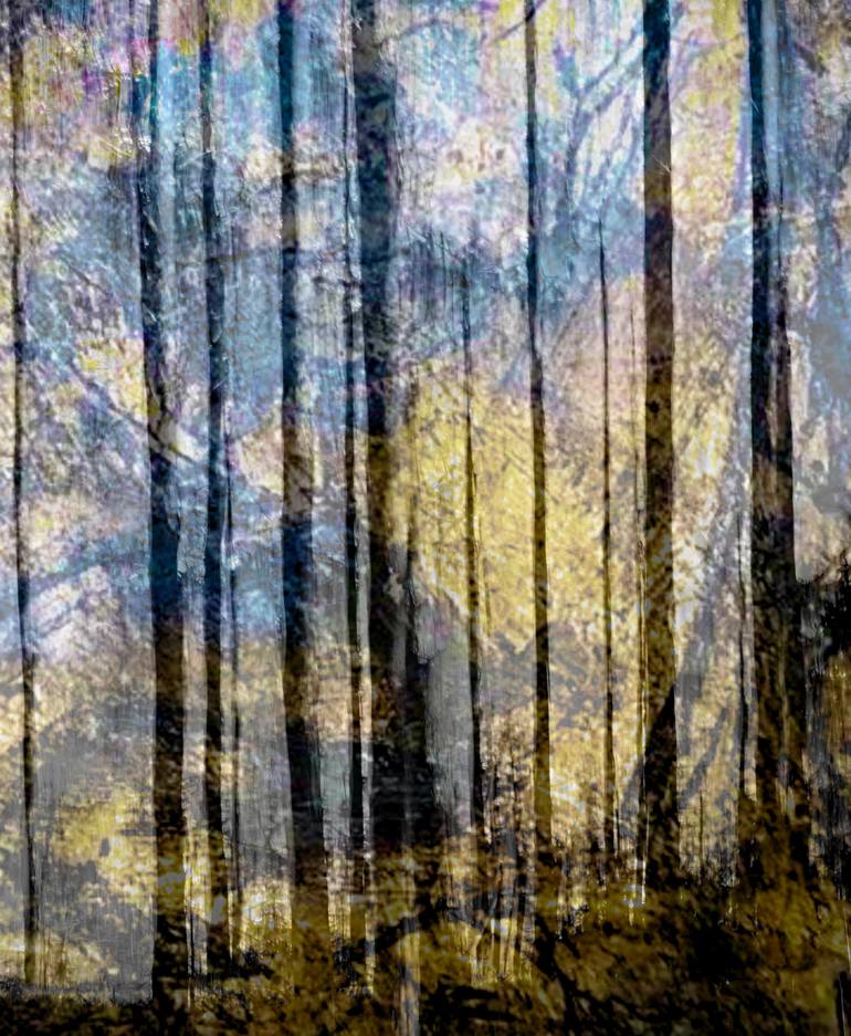 Original Expressionism Landscape Photography by Jacob Berghoef