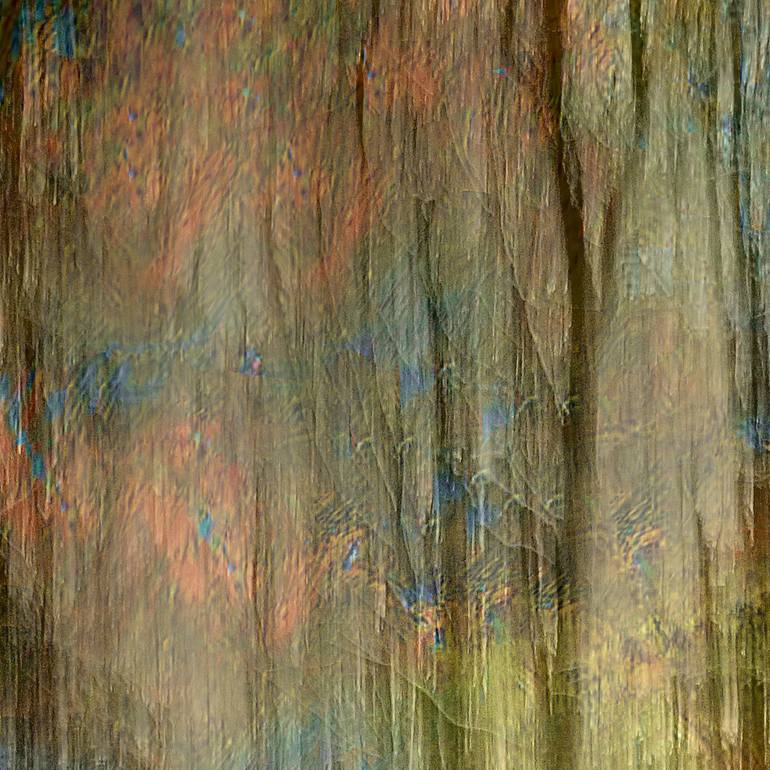 Original Impressionism Nature Photography by Jacob Berghoef