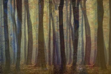 Print of Impressionism Nature Photography by Jacob Berghoef