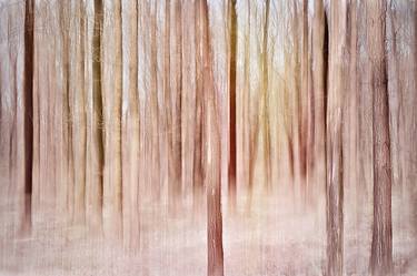 Original Fine Art Landscape Photography by Jacob Berghoef