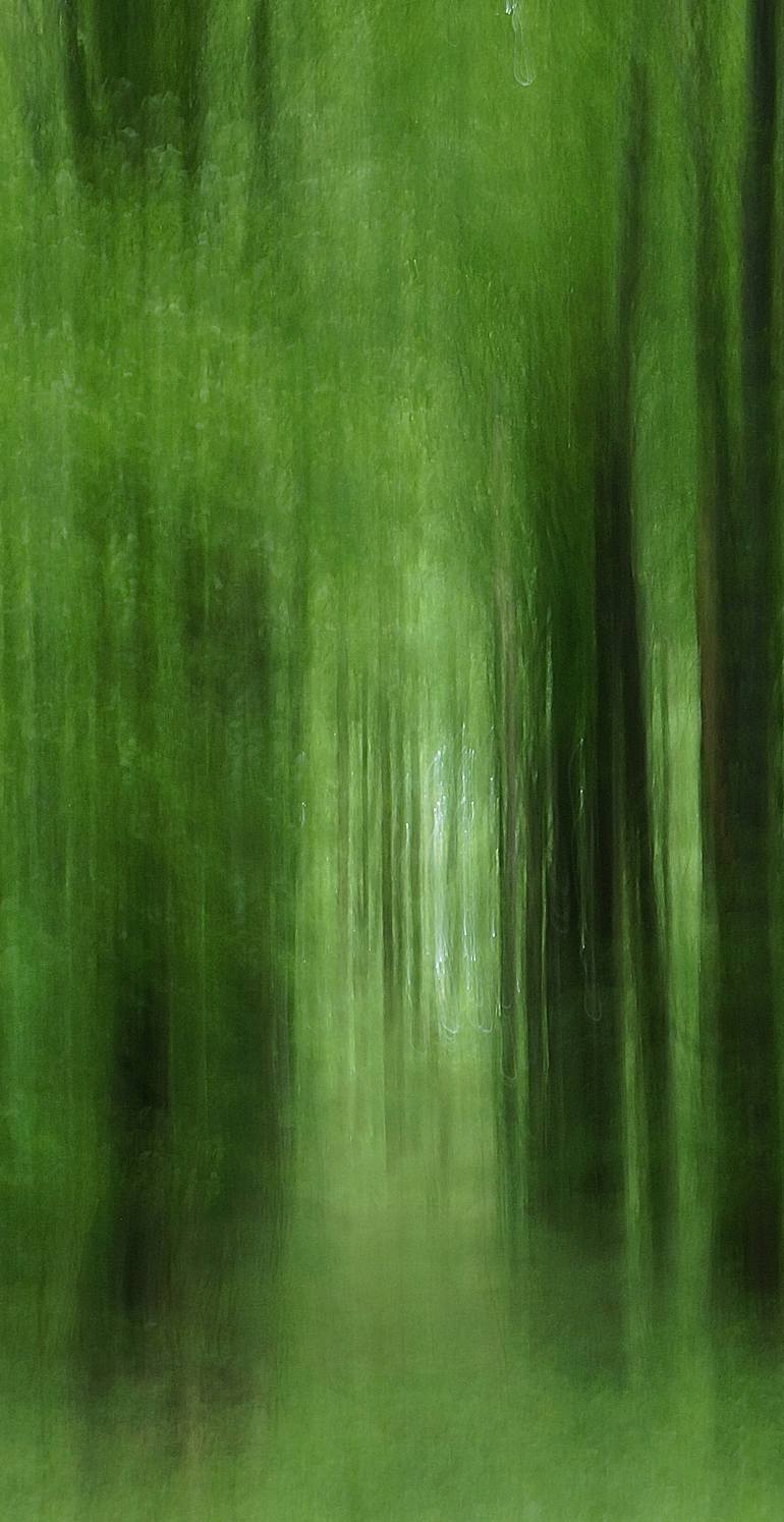 Original Abstract Expressionism Landscape Photography by Jacob Berghoef