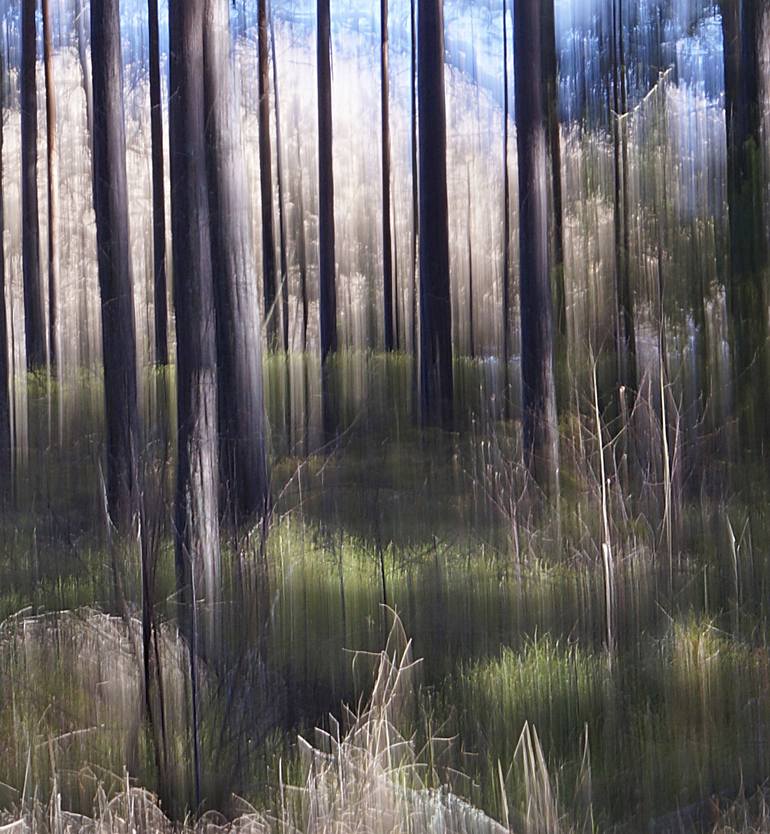 Original Impressionism Landscape Photography by Jacob Berghoef