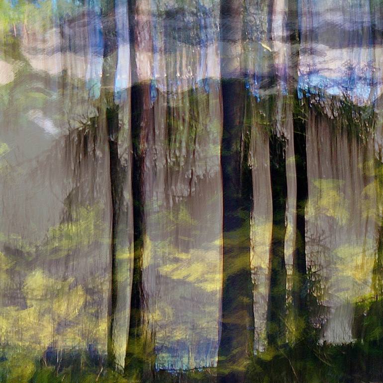 Original Impressionism Landscape Photography by Jacob Berghoef
