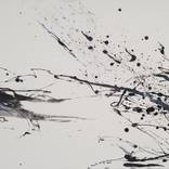 Divine Dive III Limited Edition 1 of 1 by Tiina Kivinen