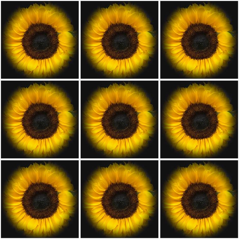 Original Abstract Floral Photography by Michael Desiano