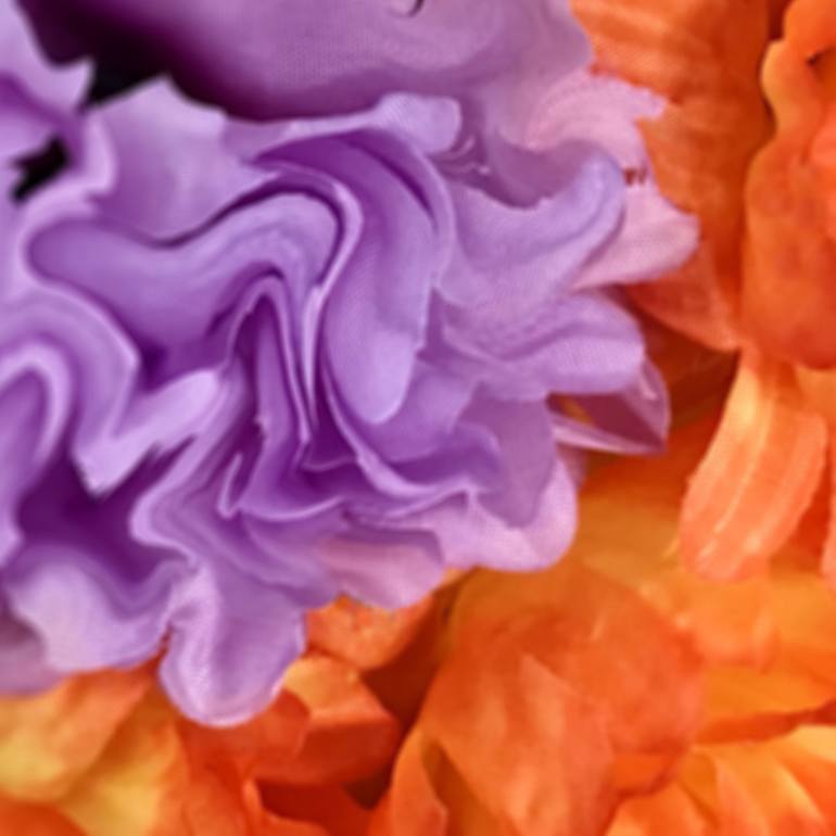 Original Fine Art Floral Photography by Michael DeSiano