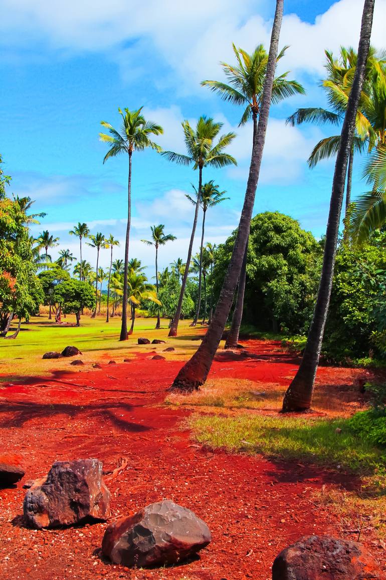 palm trees with green tree and blue cloudy sky in summer Photography by ...