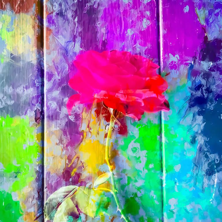 red rose with pink purple blue green yellow painting abstract background  Mixed Media by Timmy LA | Saatchi Art