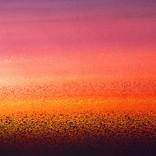 Sunset - Limited Edition by Bernie Saunders
