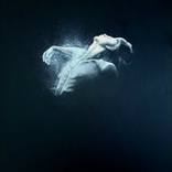 Collection New This Week 10-20-2025