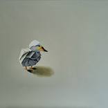 Another Duck by Lee Jenkinson