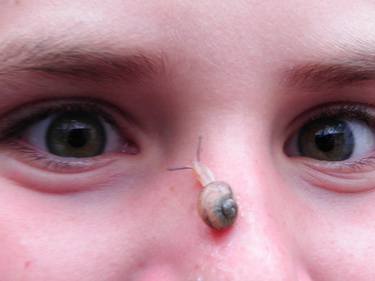 green eyes, snail nose - Limited Edition 1 of 7 thumb