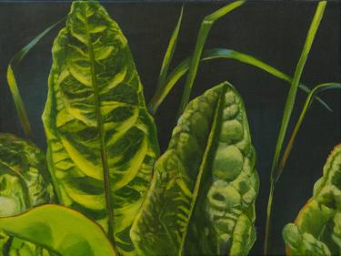 Original Botanic Paintings by Hanni Serway