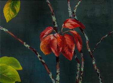 Original Botanic Paintings by Hanni Serway