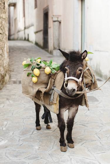 Donkey with lemons from Amalfi Coast - Limited Edition, 2 of 15 NFS thumb