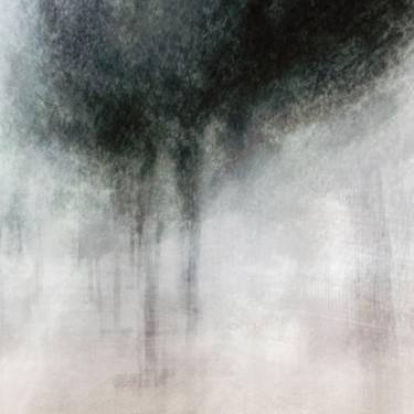City trees and winter morning fog - Limited Edition 1 of 3 thumb