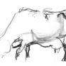 Collection drawings of cows by Marta Wojtuszek