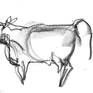 Collection drawings of cows by Marta Wojtuszek