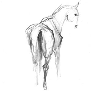 Collection drawings of horses by Marta Wojtuszek