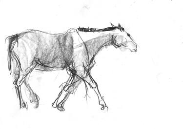 Original Horse Drawing by Marta Wojtuszek
