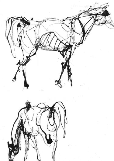 Original Horse Drawing by Marta Wojtuszek