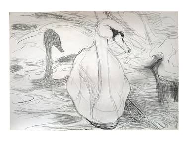 Print of Figurative Animal Drawings by Isidora Ficovic