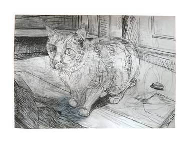 Print of Figurative Cats Drawings by Isidora Ficovic
