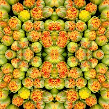 Original Abstract Floral Photography by Dagmara Weinberg