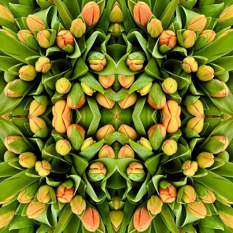 Original Abstract Floral Photography by Dagmara Weinberg