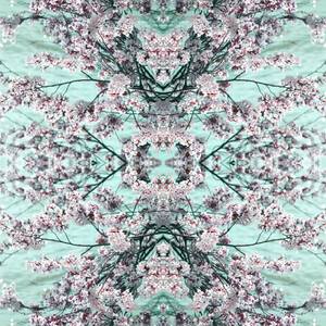 Collection Spotlight on Photography