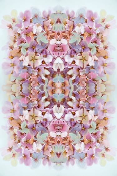 Original Fine Art Abstract Photography by Dagmara Weinberg