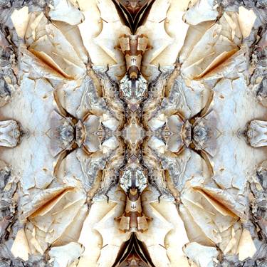 Original Abstract Nature Photography by Dagmara Weinberg