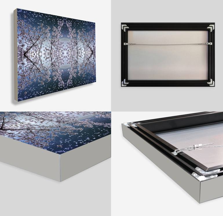 Original Contemporary Abstract Photography by Dagmara Weinberg