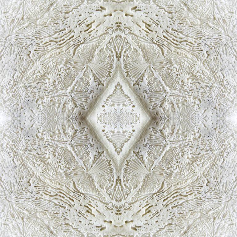 Original Fine Art Abstract Photography by Dagmara Weinberg