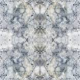 Collection Chicago: Over 1000