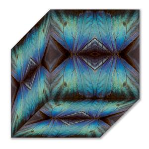 Collection 100 New Abstracts