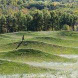 Storm King - 'Walker' by Umar Rashid