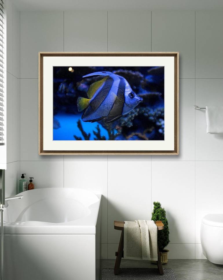 Original Fine Art Fish Digital by Eric Buechel
