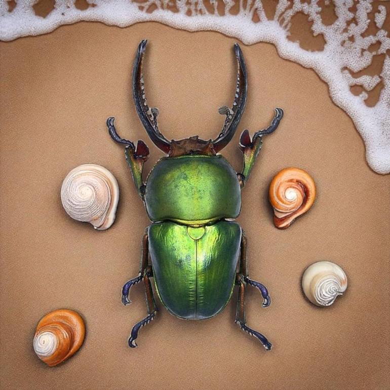 View in a Room Artwork