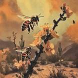 The Honeybees of Arizona: Watercolor on Paper by Eric Buechel