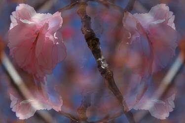 Original Fine Art Tree Photography by Eric Buechel