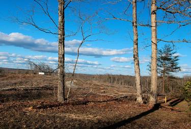 Original Documentary Landscape Photography by Eric Buechel