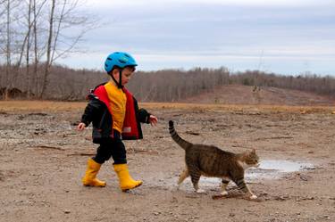 Print of Documentary Cats Photography by Eric Buechel