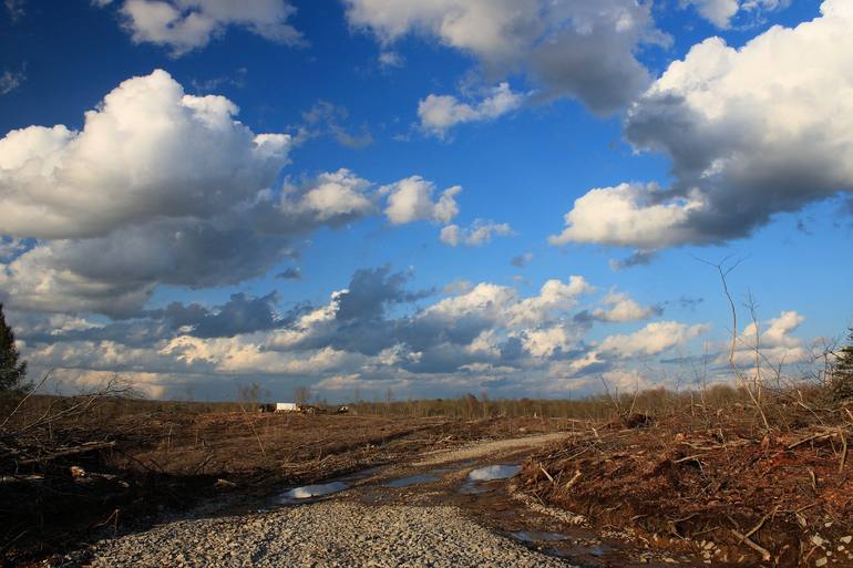 Print of Documentary Landscape Photography by Eric Buechel