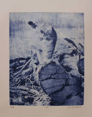 Print of Realism Cats Printmaking by Eric Buechel