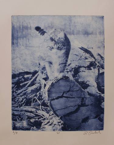 Original Realism Cats Printmaking by Eric Buechel