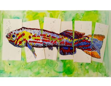 Print of Figurative Fish Drawings by Debora Spera