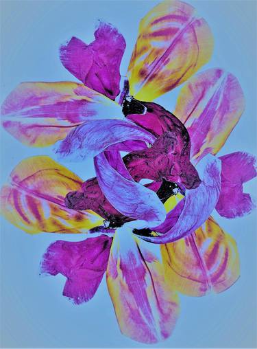 Original Impressionism Botanic Photography by Theresa Cincotta