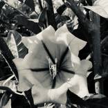 Collection PHOTOGRAPHY