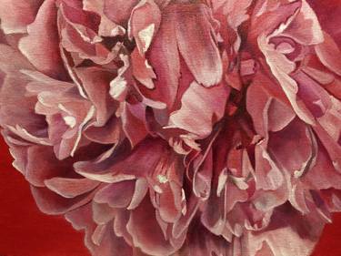 Pink Peony on Red thumb